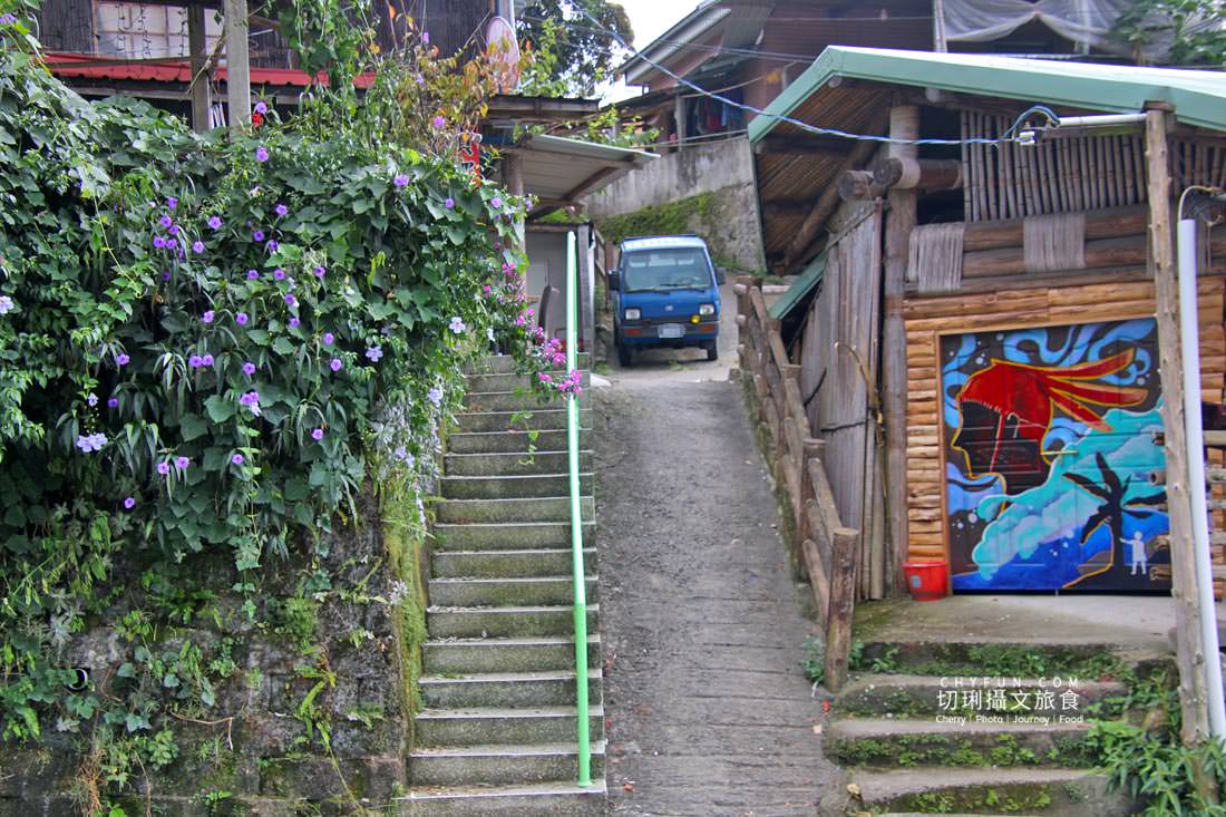 嘉義|阿里山特富野二日遊跟著在地人步伐,走訪挪唷吒原野巨木森林導覽聚落文化 - 第60張圖 嘉義|阿里山特富野二日遊跟著在地人步伐,走訪挪唷吒原野巨木森林導覽聚落文化