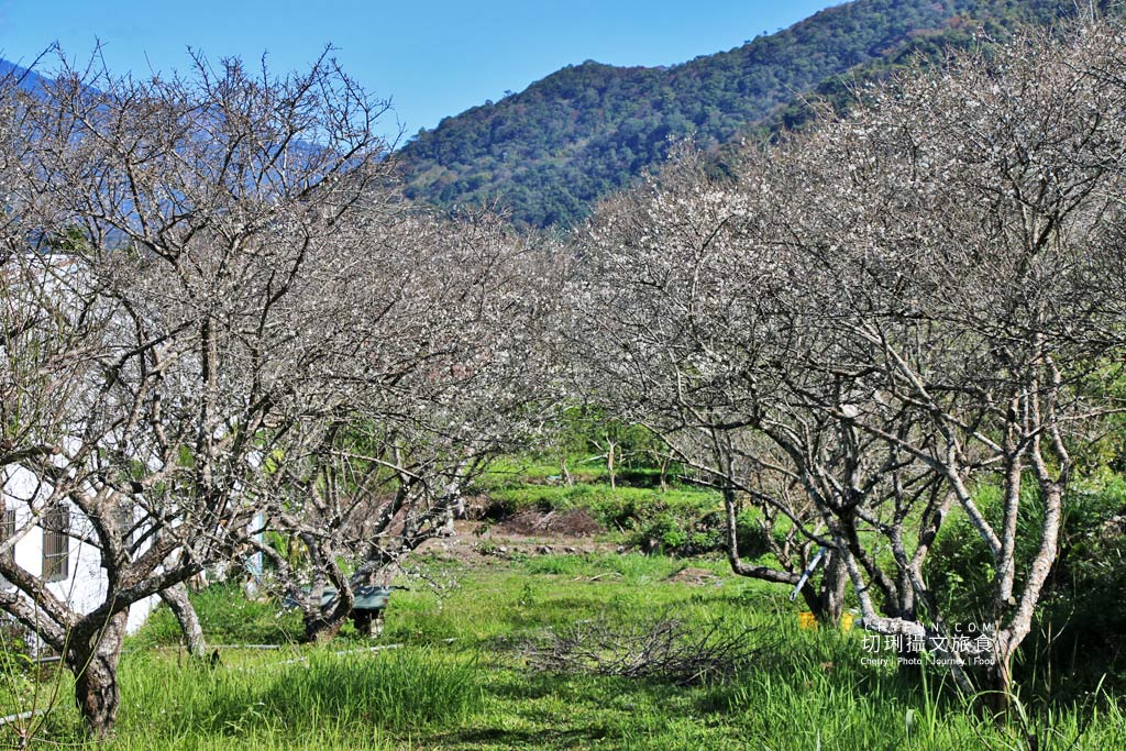南投｜玩不一樣的農村部落二日遊，發掘與體驗多樣化的在地故事
