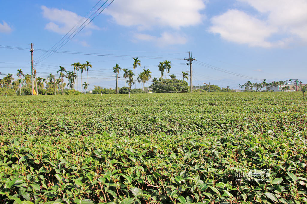 南投｜玩不一樣的農村部落二日遊，發掘與體驗多樣化的在地故事
