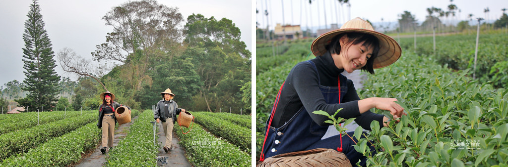 南投｜玩不一樣的農村部落二日遊，發掘與體驗多樣化的在地故事