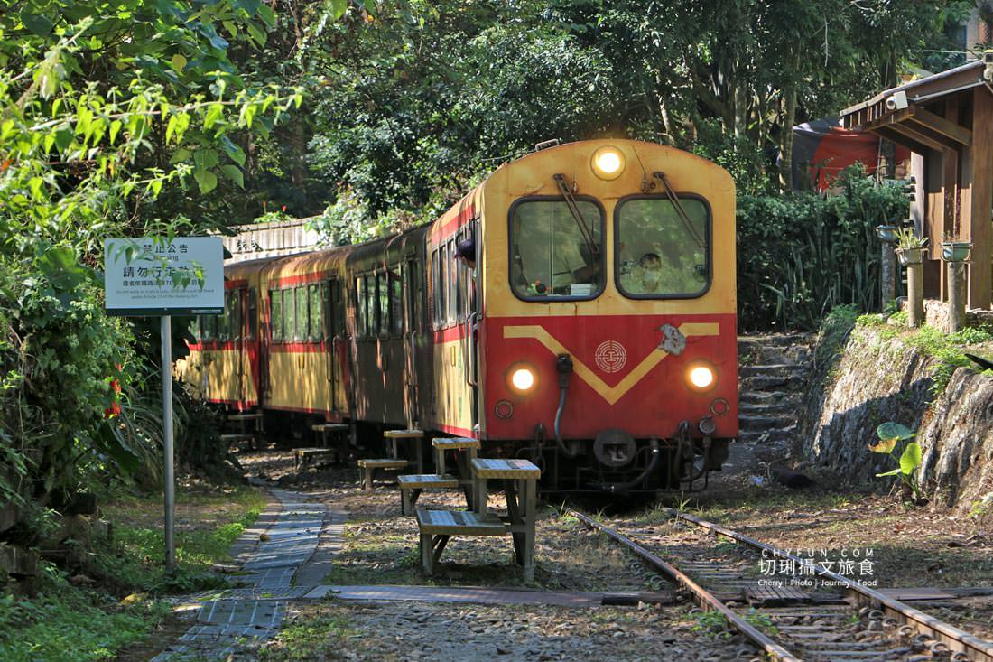 嘉義｜瑞里二日遊166軸線觀光，穿梭林業茶園搭林鐵走景點玩體驗吃美食