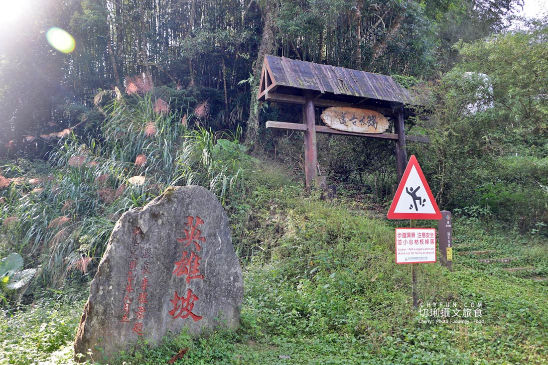 嘉義｜瑞里二日遊166軸線觀光，穿梭林業茶園搭林鐵走景點玩體驗吃美食