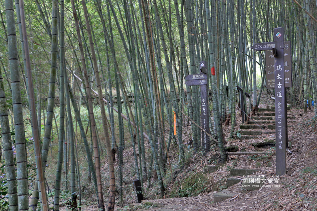 嘉義｜瑞里二日遊166軸線觀光，穿梭林業茶園搭林鐵走景點玩體驗吃美食