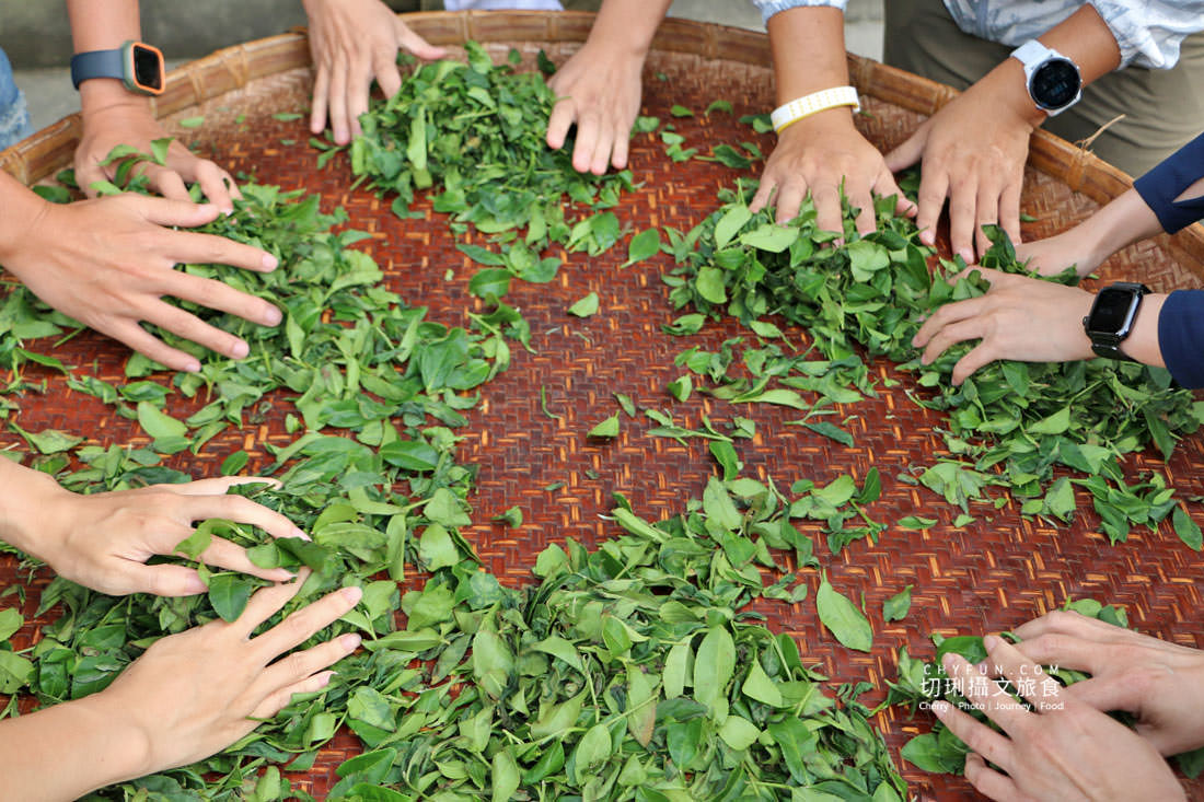 嘉義|瑞里住宿開箱推薦 11 間特色民宿,在茶園、雲海、紫藤花裡的山景民宿住一晚 - 第31張圖 嘉義|瑞里住宿開箱推薦 11 間特色民宿,在茶園、雲海、紫藤花裡的山景民宿住一晚