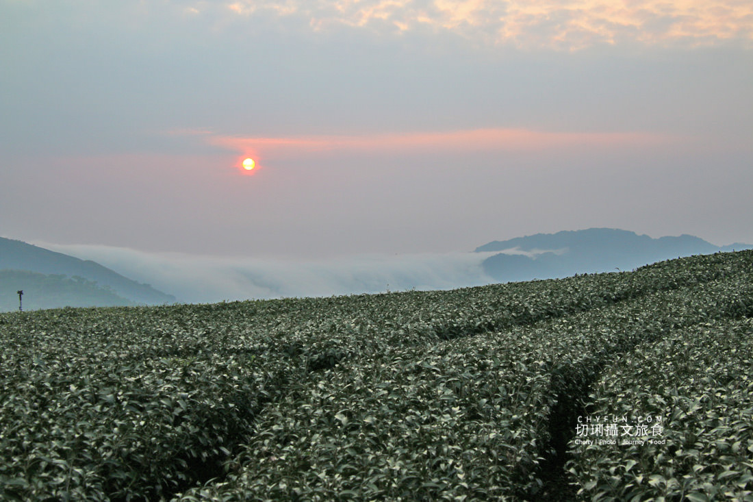 嘉義｜瑞里住宿阿本的家住一晚喝好茶，秘境看夕陽體驗難得夜間導覽