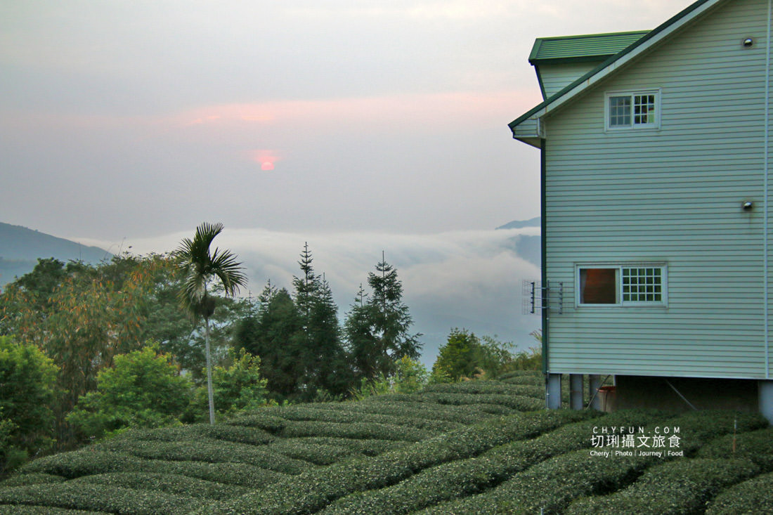 嘉義｜瑞里住宿阿本的家住一晚喝好茶，秘境看夕陽體驗難得夜間導覽