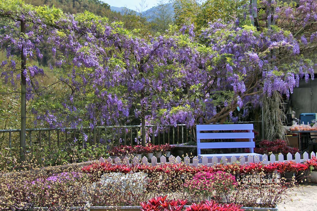 嘉義｜瑞里美食幼葉林餐廳山產野菜美味，環境造景清幽浪漫