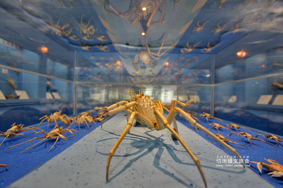 澎湖|冬遊澎湖好處不少,不玩水迎風嬉遊景點大啖美食 - 第41張圖 澎湖|冬遊澎湖好處不少,不玩水迎風嬉遊景點大啖美食