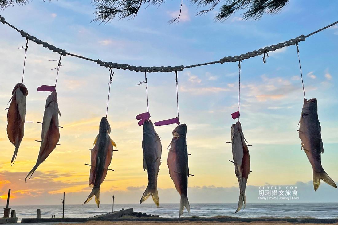 苗栗｜慢魚海岸一日遊漫步搭火車做魚吃魚，海線通車百年白沙屯媽祖同慶　