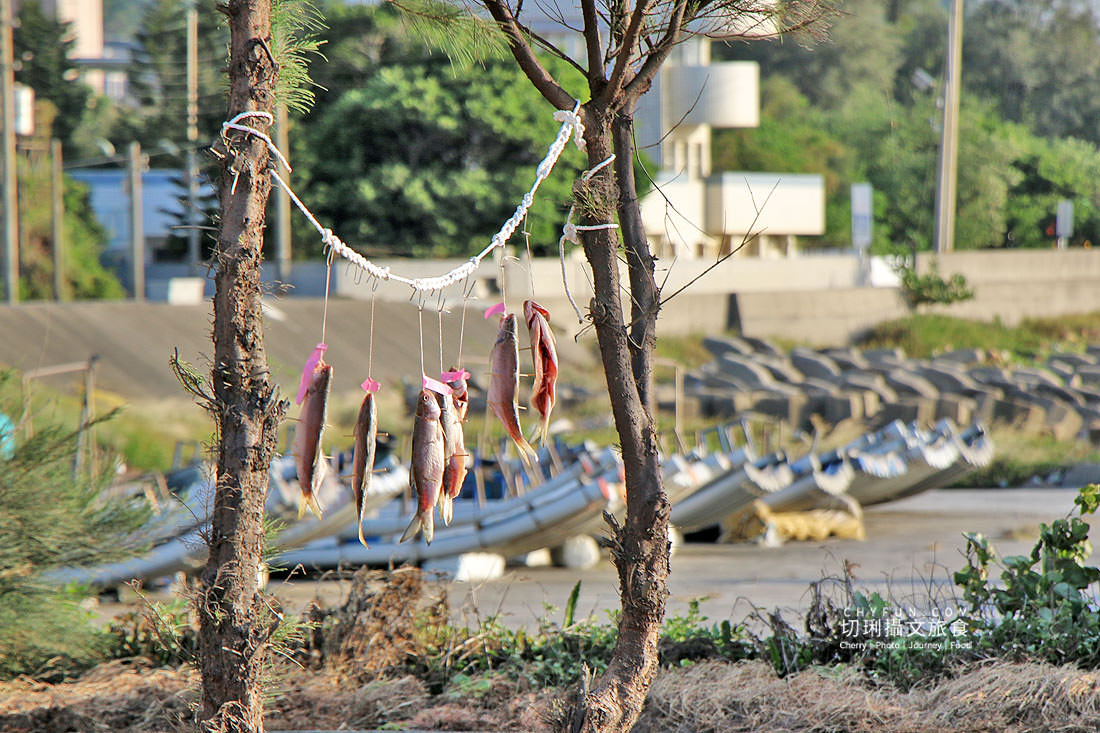 苗栗｜慢魚海岸一日遊漫步搭火車做魚吃魚，海線通車百年白沙屯媽祖同慶　