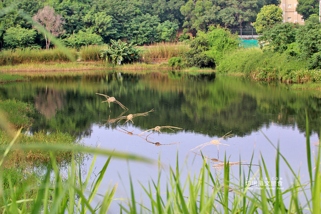 苗栗|海線鐵道通車百年,來場欣賞海線生活藝術展、走趟時光知性旅 - 第14張圖 苗栗|海線鐵道通車百年,來場欣賞海線生活藝術展、走趟時光知性旅