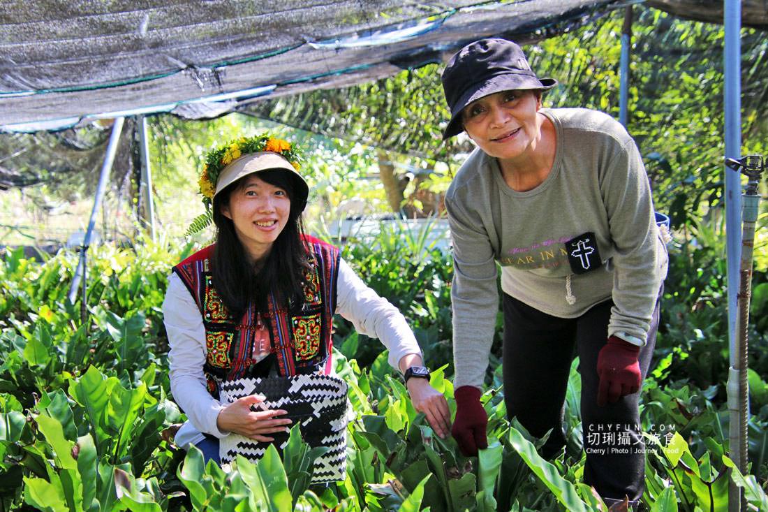 高雄｜茂林萬山部落遺世獨處的歐布諾伙，初領略體驗萬山龍頭山環流丘與岩雕之美