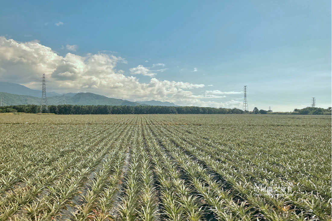 屏東|萬巒赤山社區重生的老厝54,漫遊散策農村體驗果醬DIY - 第2張圖 屏東|萬巒赤山社區重生的老厝54,漫遊散策農村體驗果醬DIY