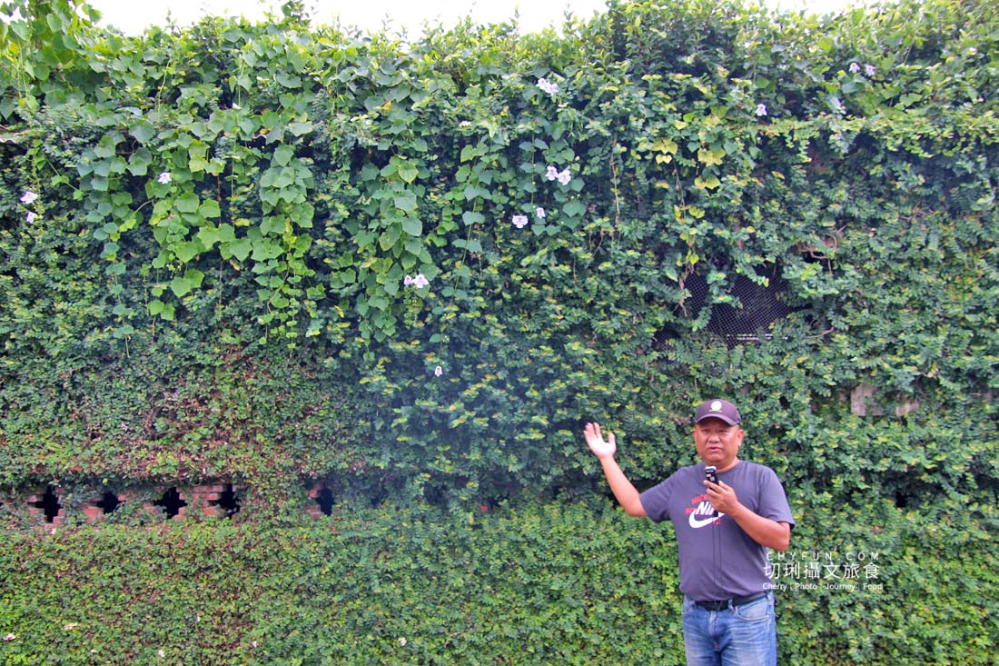 屏東|萬巒赤山社區重生的老厝54,漫遊散策農村體驗果醬DIY - 第11張圖 屏東|萬巒赤山社區重生的老厝54,漫遊散策農村體驗果醬DIY