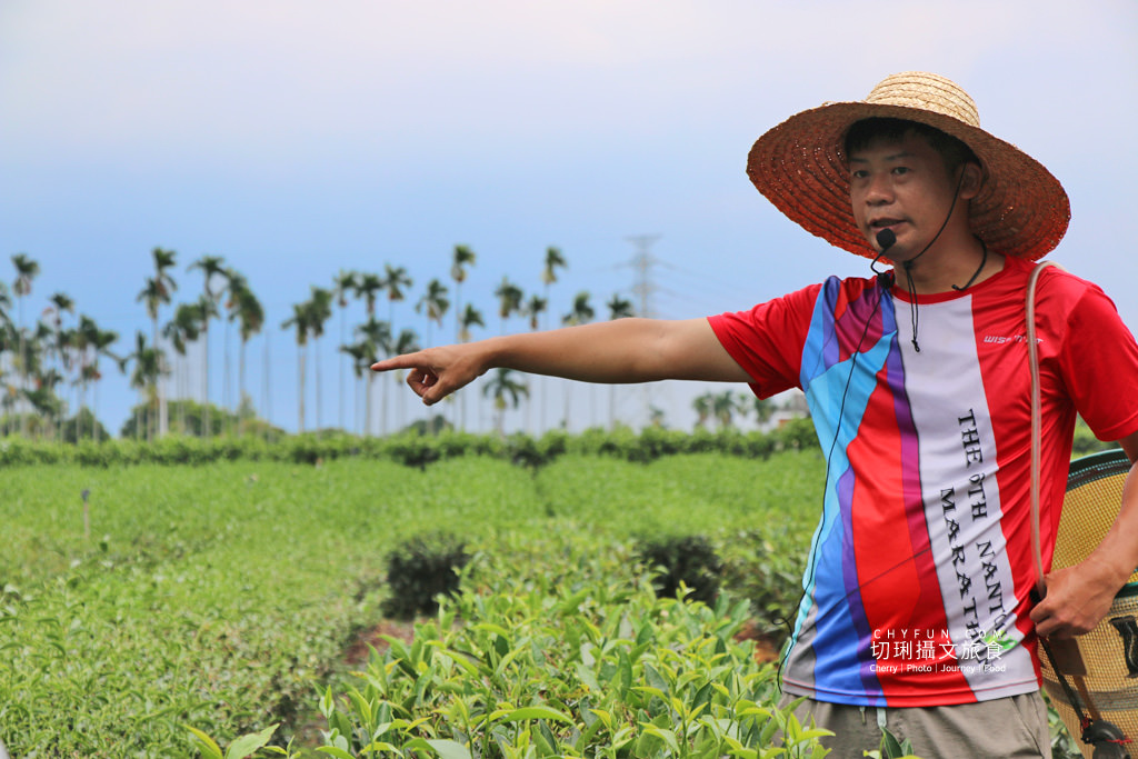 農村旅遊｜走進八卦山一日遊，遊賞彰化花現幸福＋南投茶藝品香搭配安心遊、振興券、農遊券走兩路線