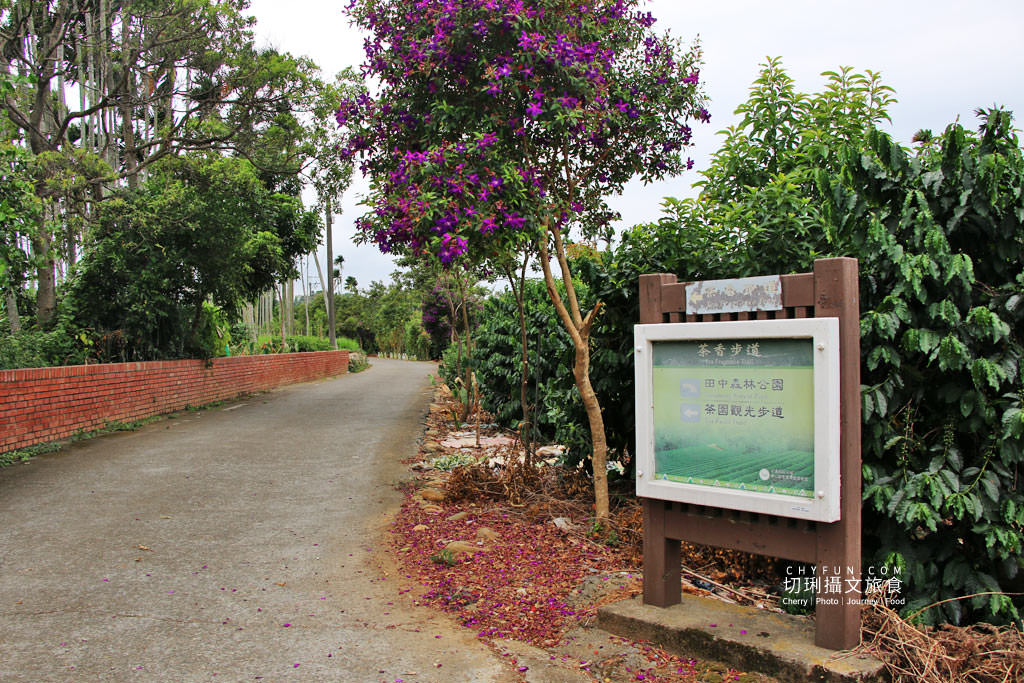 農村旅遊｜走進八卦山一日遊，遊賞彰化花現幸福＋南投茶藝品香搭配安心遊、振興券、農遊券走兩路線