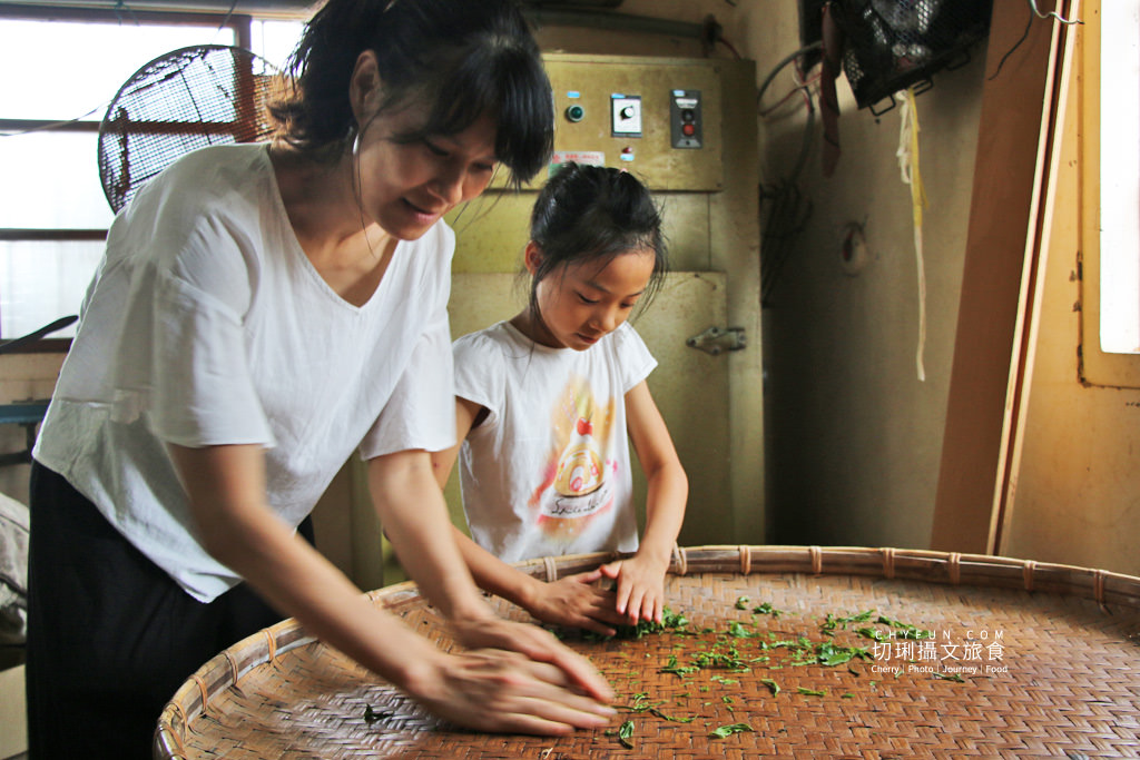 農村旅遊｜走進八卦山一日遊，遊賞彰化花現幸福＋南投茶藝品香搭配安心遊、振興券、農遊券走兩路線