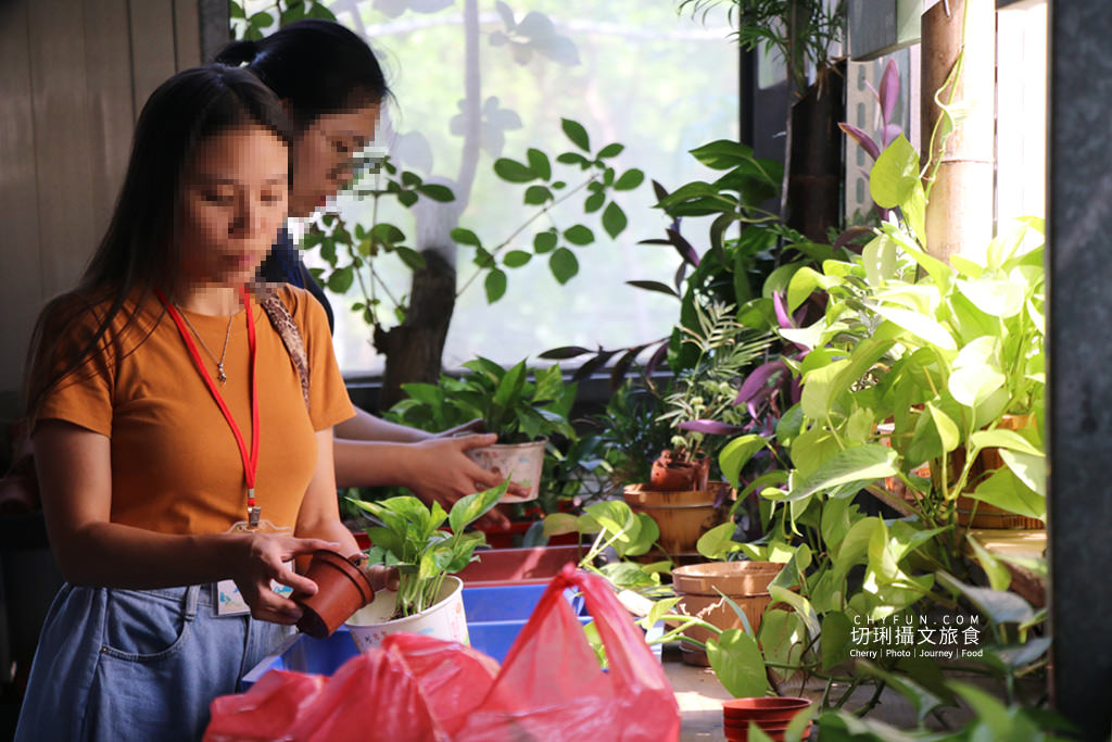 農村旅遊｜走進八卦山一日遊，遊賞彰化花現幸福＋南投茶藝品香搭配安心遊、振興券、農遊券走兩路線