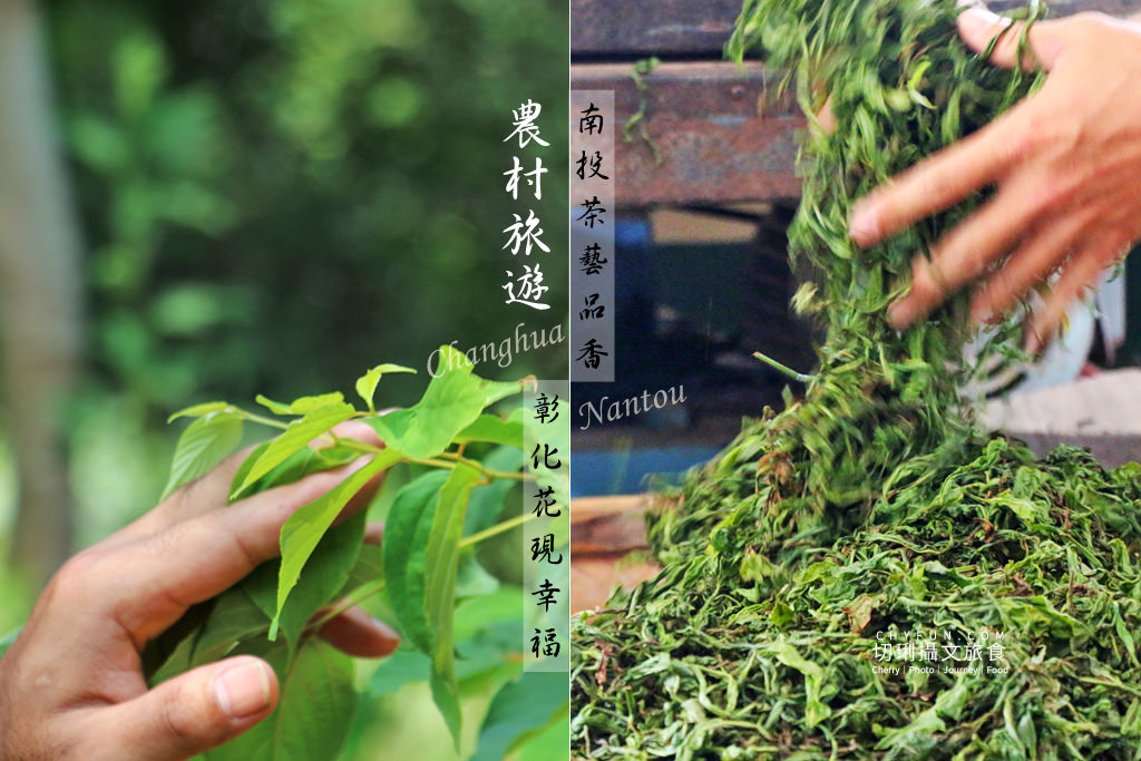 農村旅遊暢遊八卦山一日遊