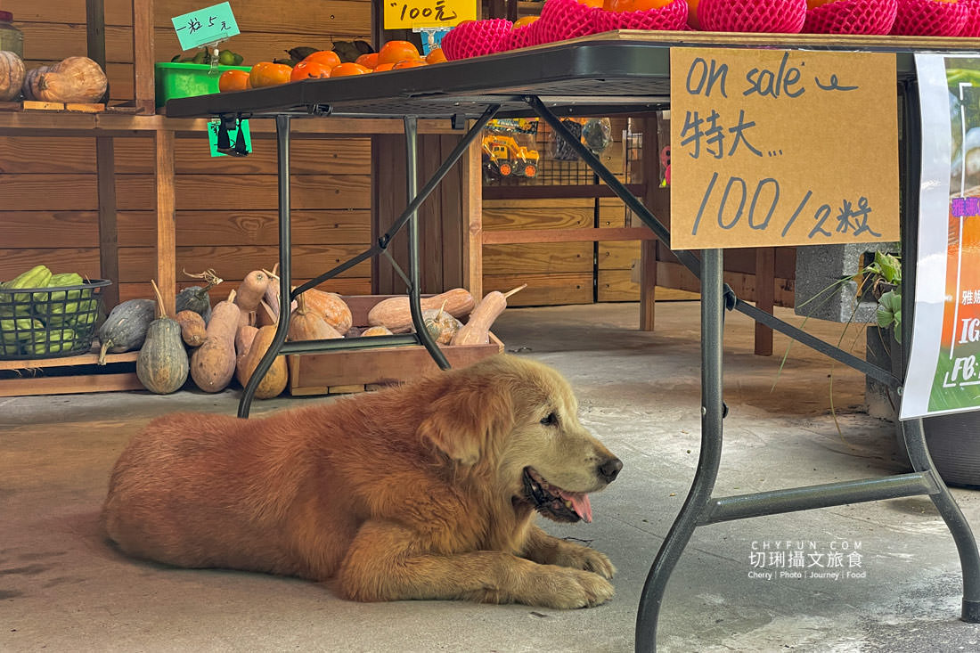 嘉義｜達娜伊谷雅娜屋森林小舖，吊橋前的部落美食美味分量多