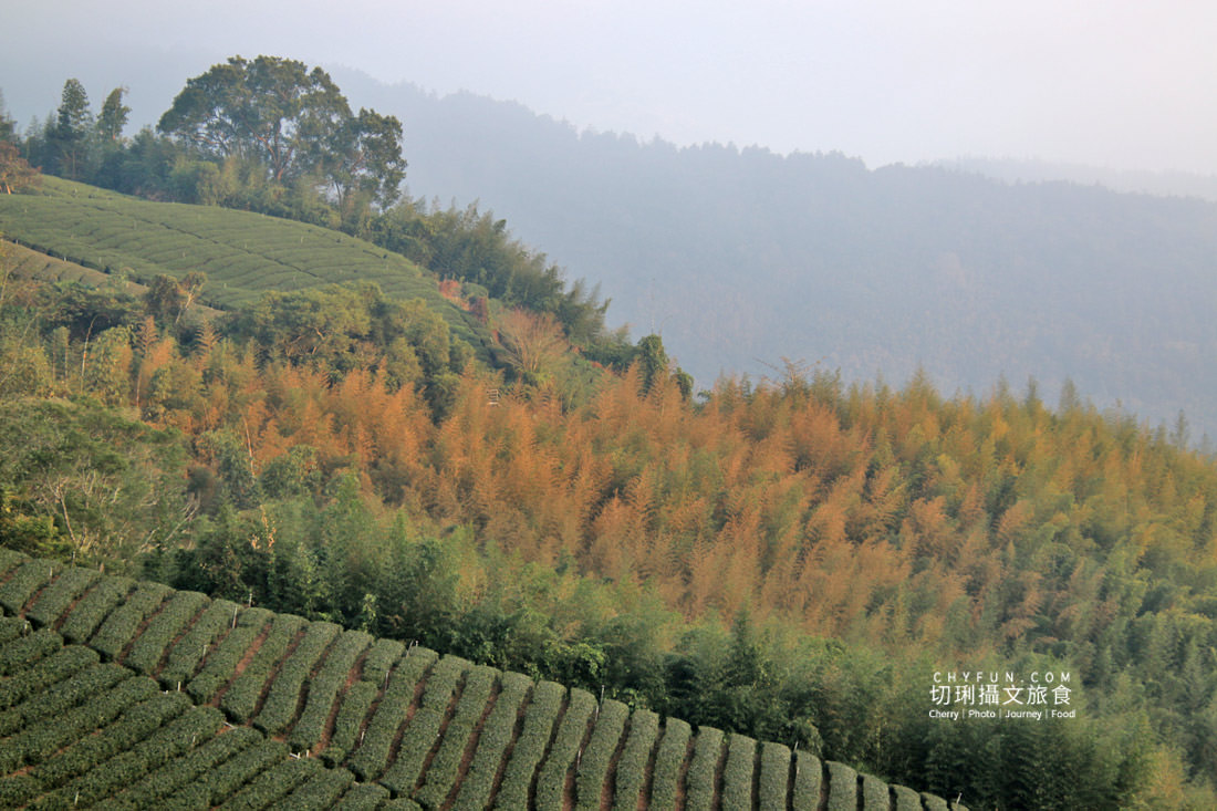 嘉義｜鄒族亭愛情咖啡莊園觀景台喝杯樂野咖啡，360度眺望天與山美景
