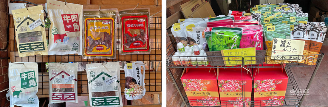 金門｜金門熱門藝文網美景點旅遊，文青美男美女打卡拍照踩點遊