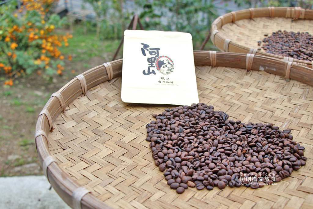 阿里山台18線二日遊－優遊吧斯05