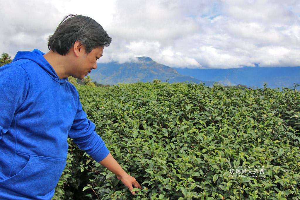 阿里山台18線二日遊－生力農場04