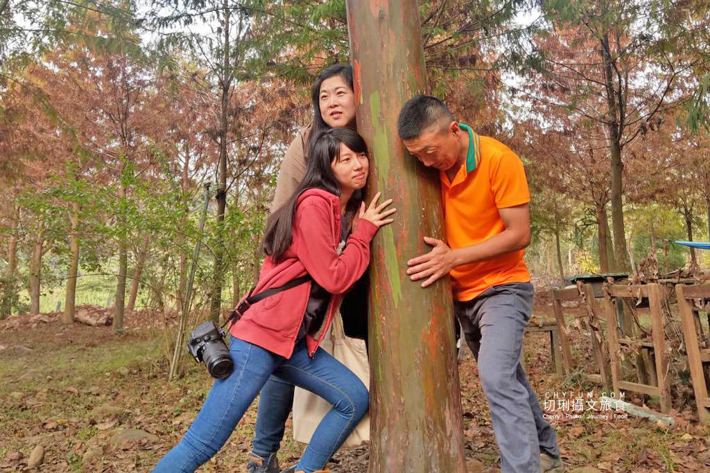 阿里山台18線二日遊－築夢森居07