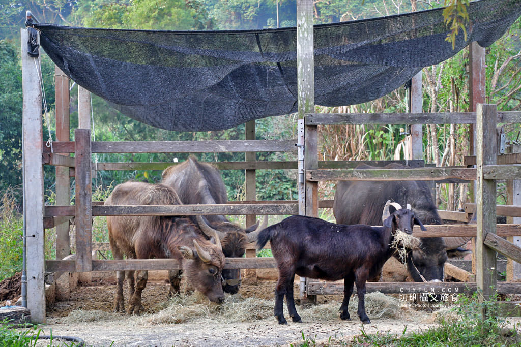 阿里山台18線二日遊－築夢森居09