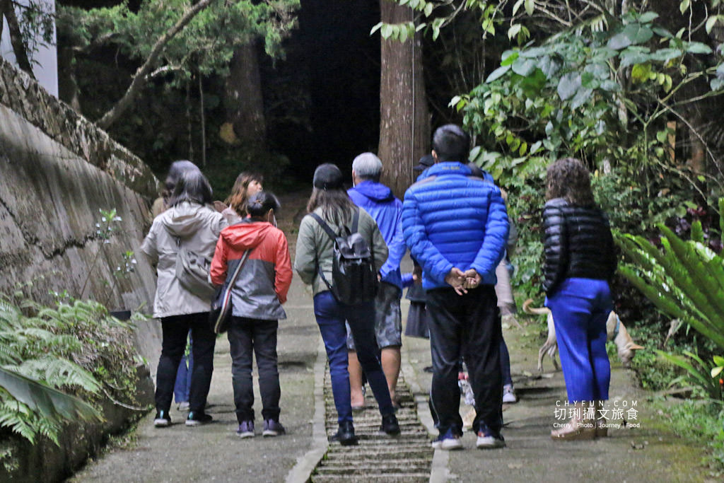 阿里山台18線住宿用餐 龍雲農場06
