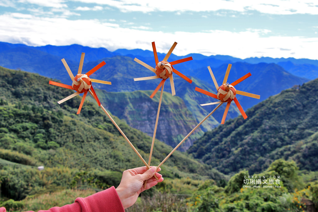 阿里山台18線住宿用餐 龍雲農場09