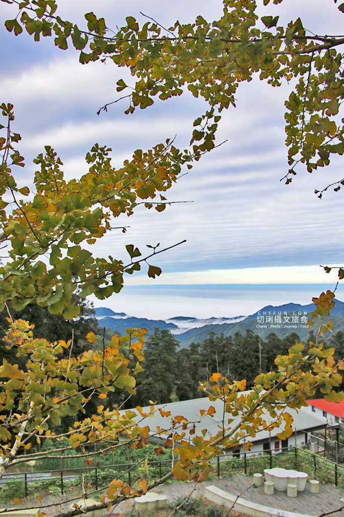 阿里山台18線住宿用餐 龍雲農場19