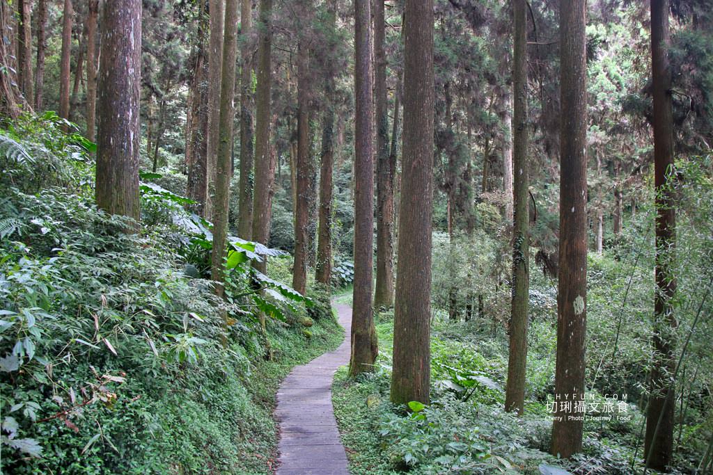 阿里山台18線住宿用餐 龍雲農場20