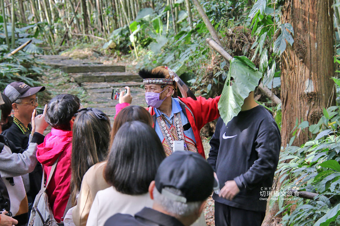 嘉義|阿里山咖啡樂野部落二日遊,沉浸咖啡莊園漫步大自然 - 第41張圖 嘉義|阿里山咖啡樂野部落二日遊,沉浸咖啡莊園漫步大自然