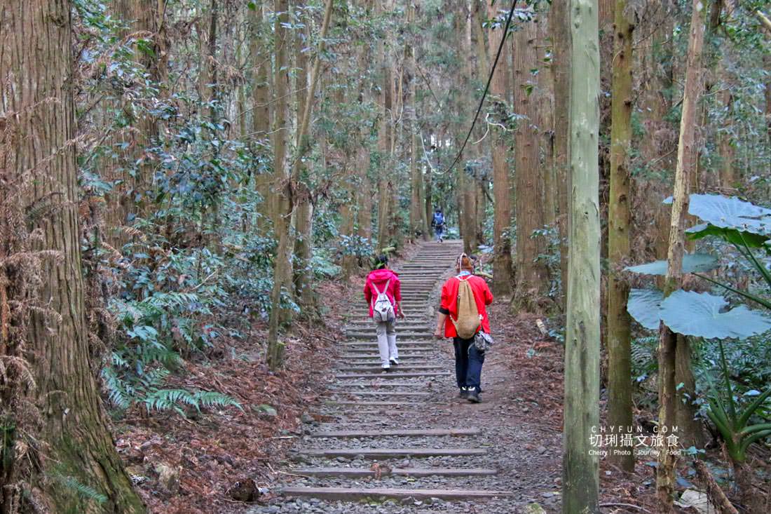 嘉義|阿里山咖啡樂野部落二日遊,沉浸咖啡莊園漫步大自然 - 第46張圖 嘉義|阿里山咖啡樂野部落二日遊,沉浸咖啡莊園漫步大自然
