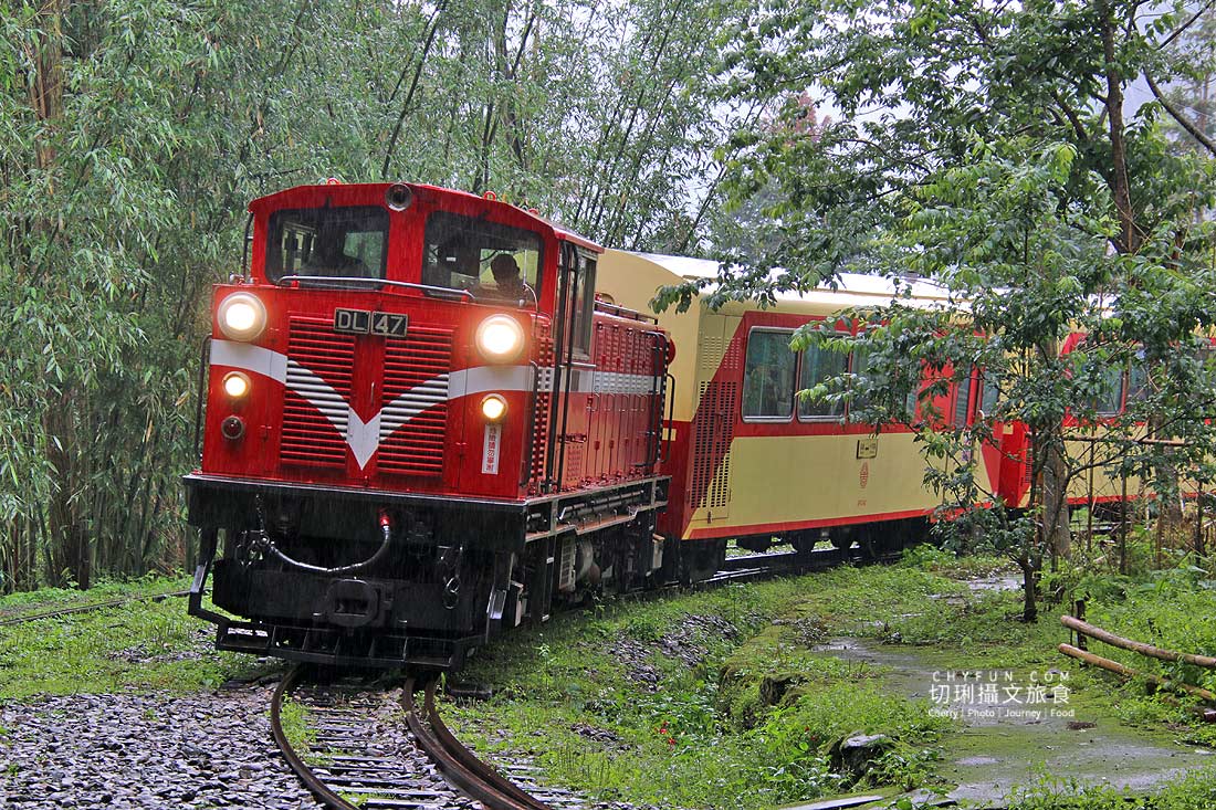 嘉義|阿里山林鐵二日遊主題專開列車,走讀十字路車站與得恩亞納 - 第67張圖 嘉義|阿里山林鐵二日遊主題專開列車,走讀十字路車站與得恩亞納