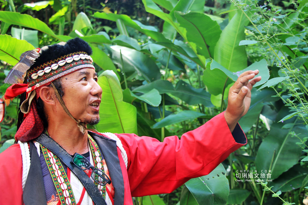 阿里山山美部落達娜伊谷05