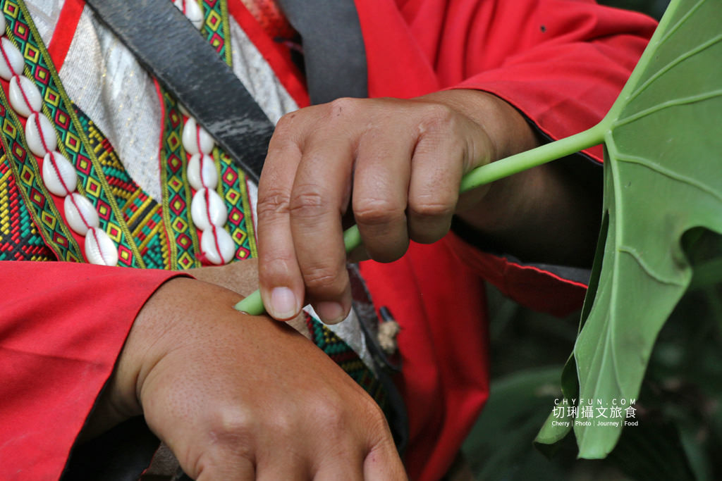 阿里山山美部落達娜伊谷07
