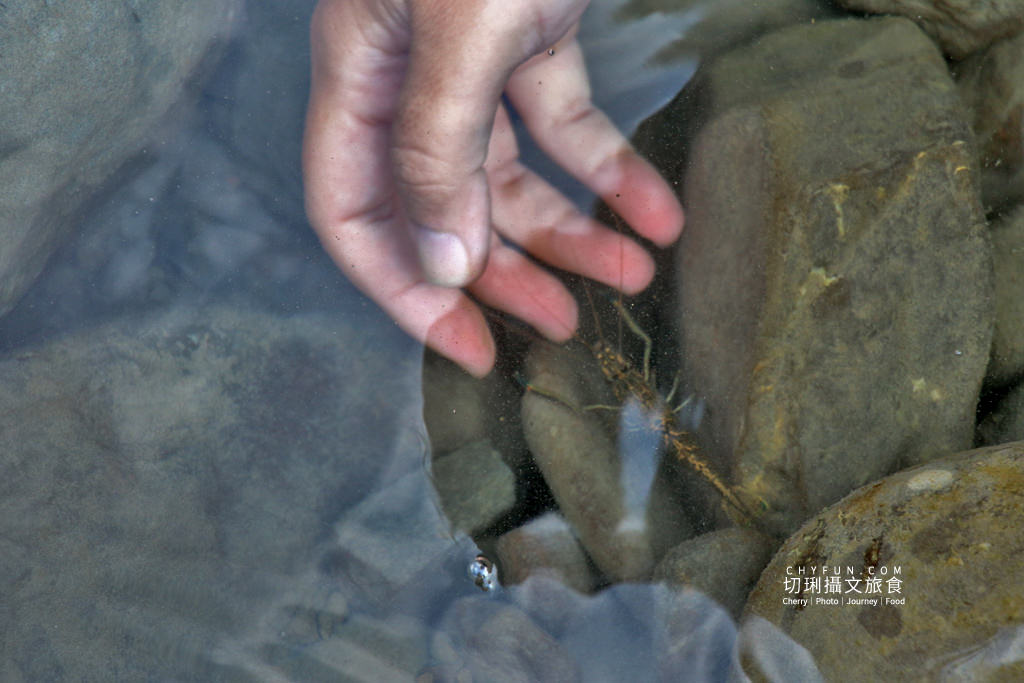 阿里山山美部落達娜伊谷33