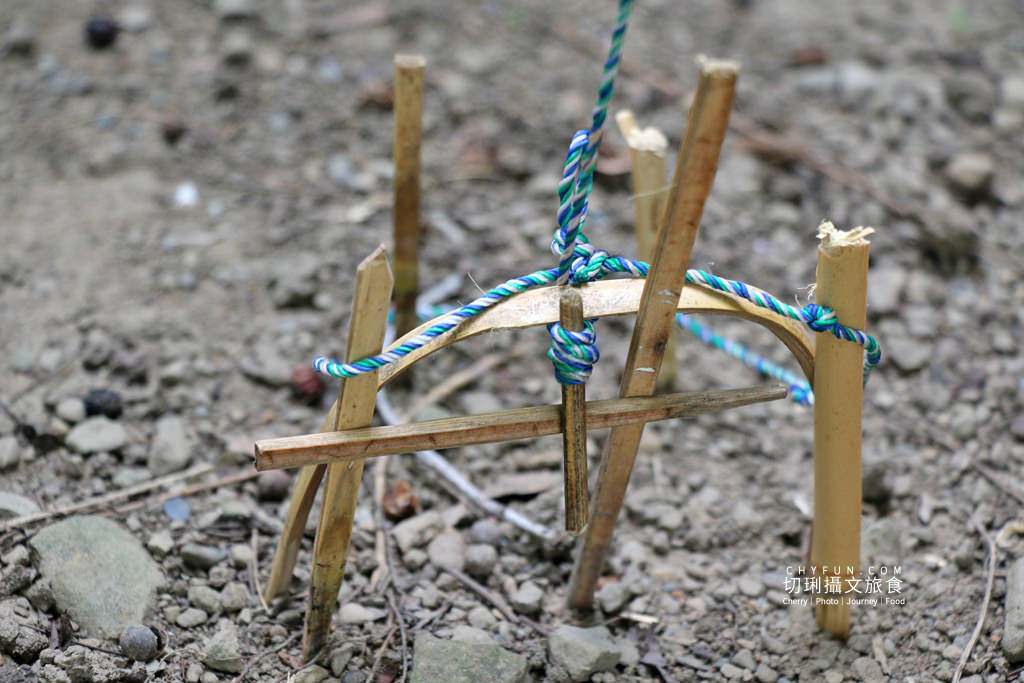 阿里山新美部落野餐那麼古謠15