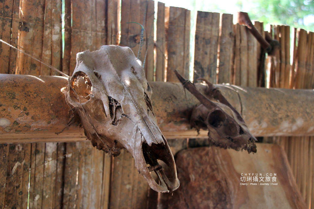 阿里山新美部落野餐那麼古謠18