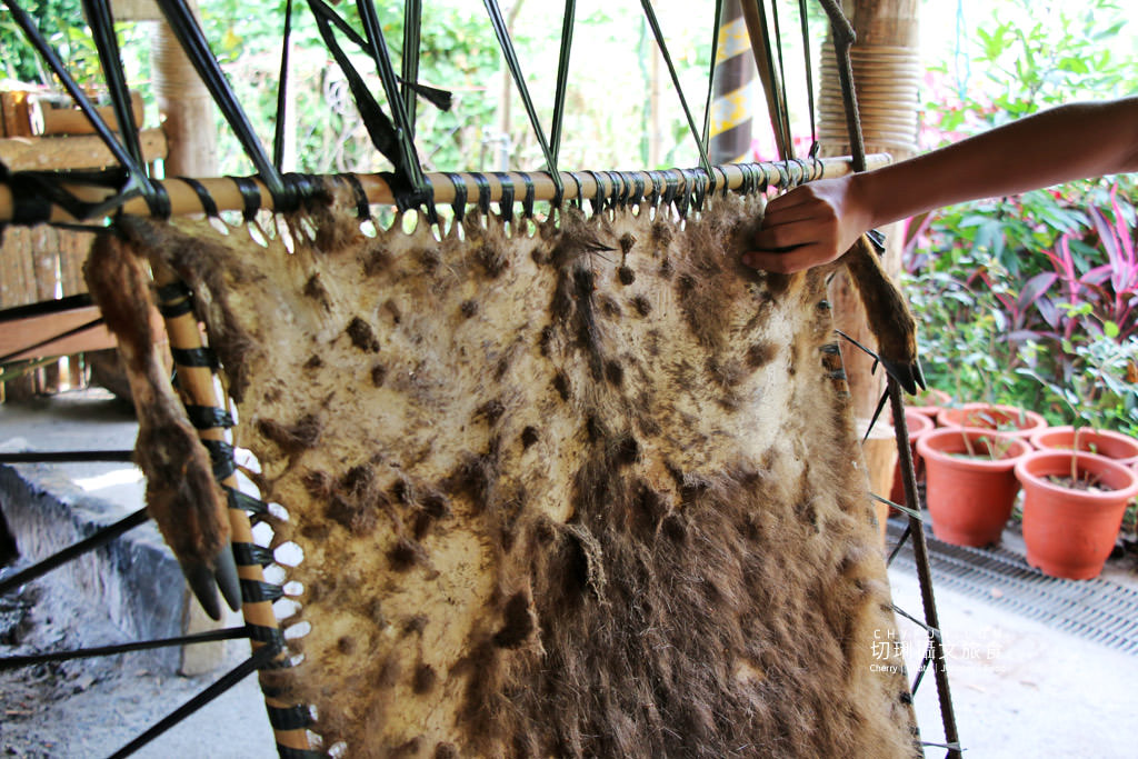 阿里山新美部落野餐那麼古謠20