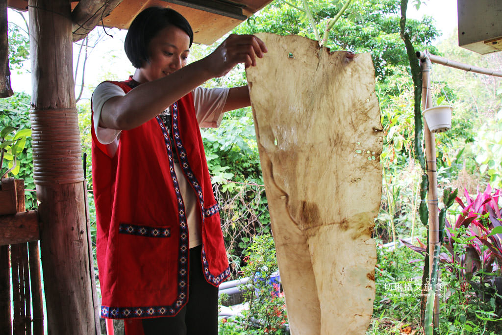 阿里山新美部落野餐那麼古謠21