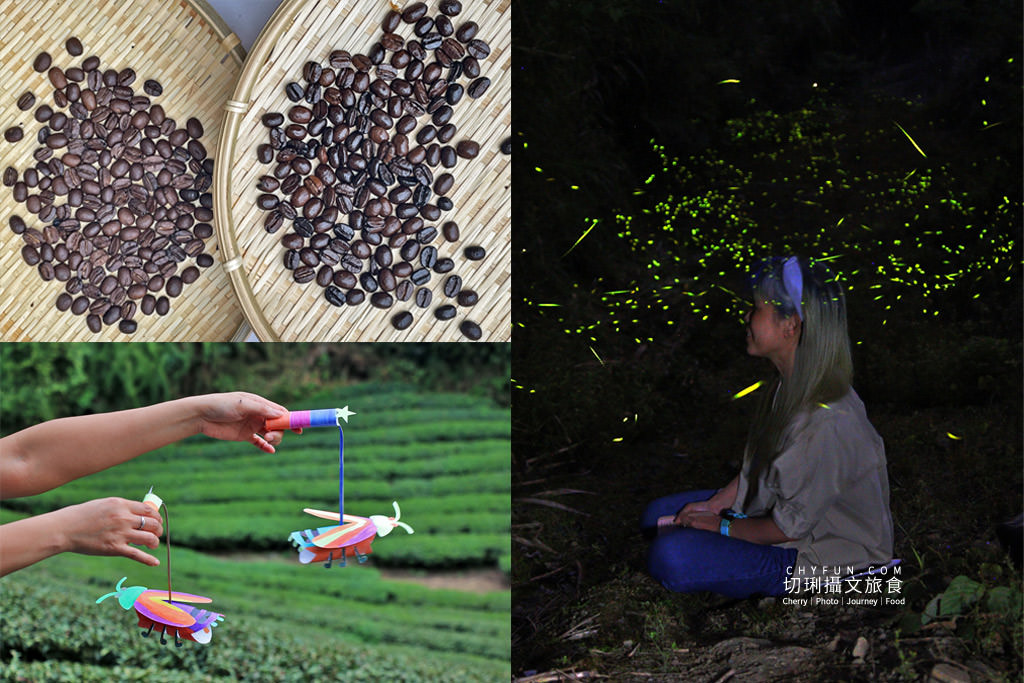 雲林｜草嶺遇見螢火蟲，烘豆彩繪品味在地伙食豐富石壁半日遊