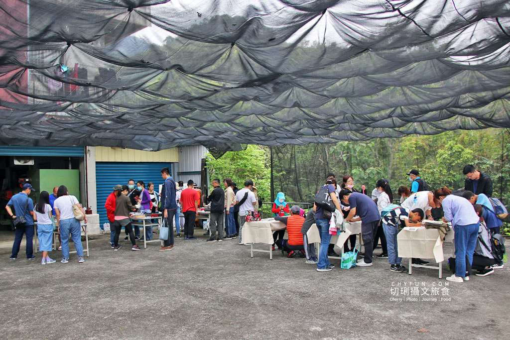 雲林｜草嶺遇見螢火蟲，烘豆彩繪品味在地伙食豐富石壁半日遊