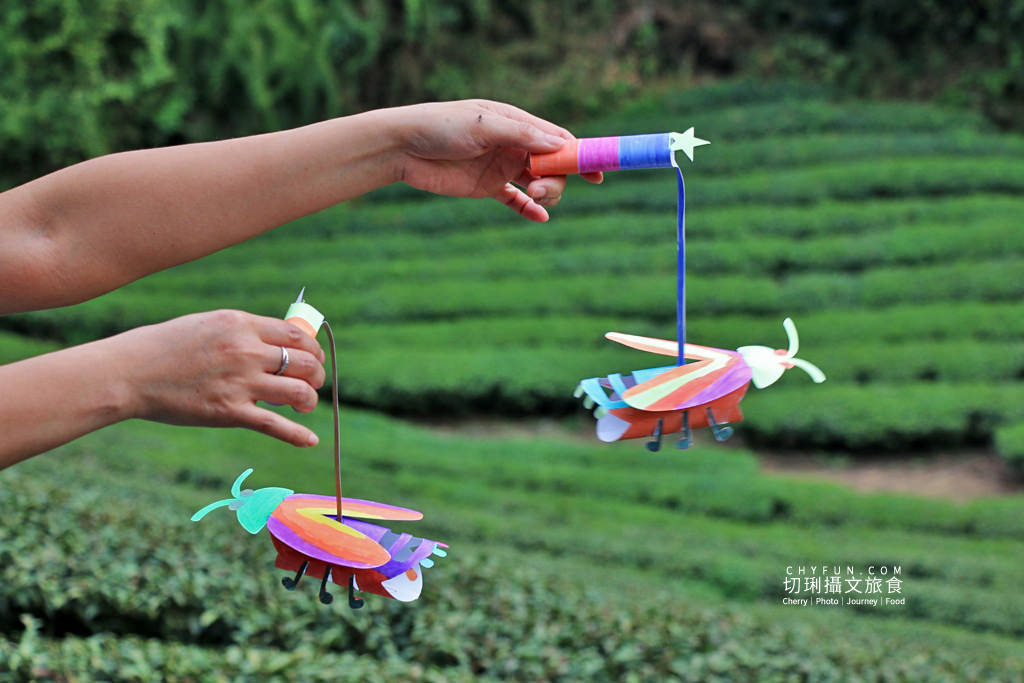 雲林｜草嶺遇見螢火蟲，烘豆彩繪品味在地伙食豐富石壁半日遊
