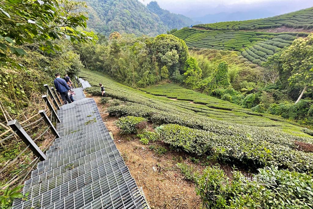 雲林｜草嶺遇見螢火蟲，烘豆彩繪品味在地伙食豐富石壁半日遊