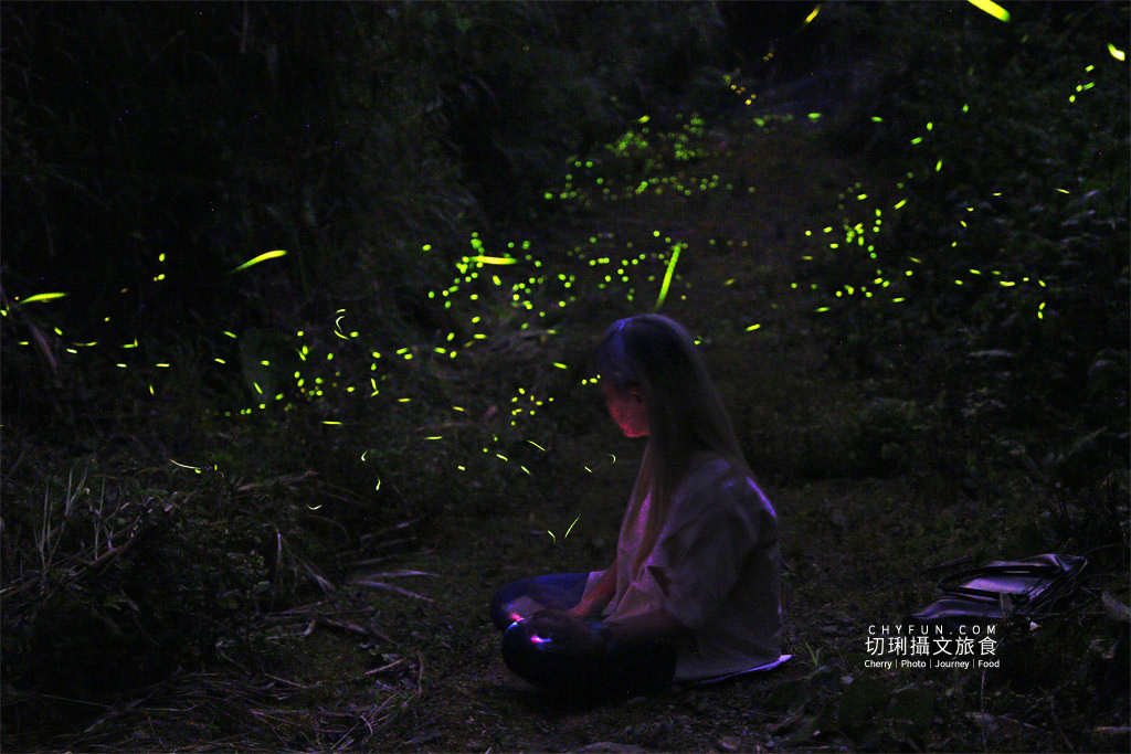 雲林｜草嶺遇見螢火蟲，烘豆彩繪品味在地伙食豐富石壁半日遊