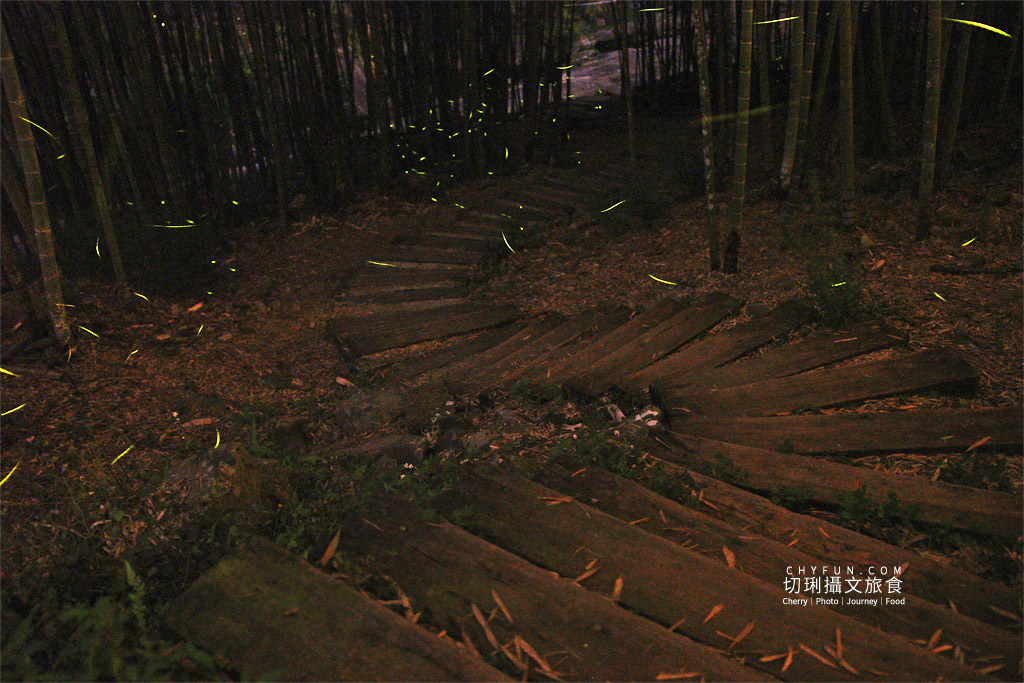 雲林｜草嶺遇見螢火蟲，烘豆彩繪品味在地伙食豐富石壁半日遊